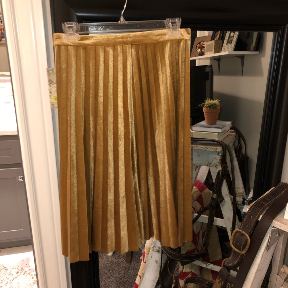 Chelsea and Violet velvet skirt